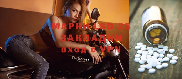 экстази Ельня