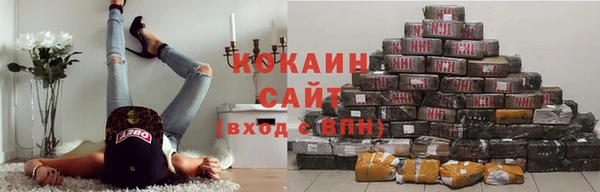 ПСИЛОЦИБИНОВЫЕ ГРИБЫ Елабуга
