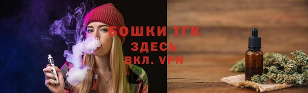 экстази Ельня