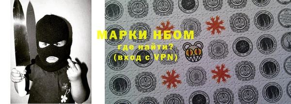 ПСИЛОЦИБИНОВЫЕ ГРИБЫ Елабуга