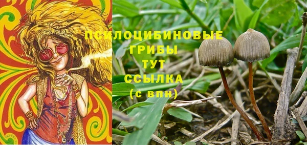 экстази Ельня