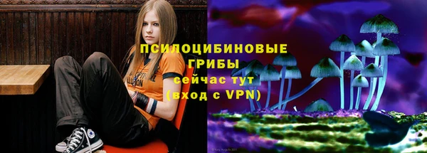 каннабис Приозерск