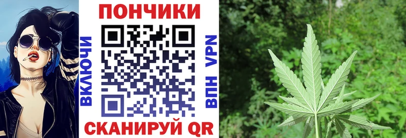 Конопля планчик  Слободской 